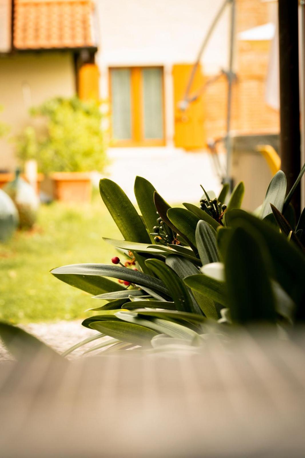 Agriturismo Podere Nigriano Salò Exteriér fotografie