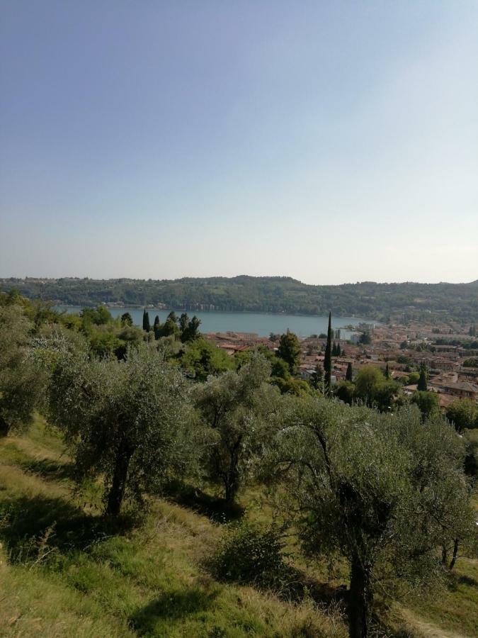 Agriturismo Podere Nigriano Salò Exteriér fotografie