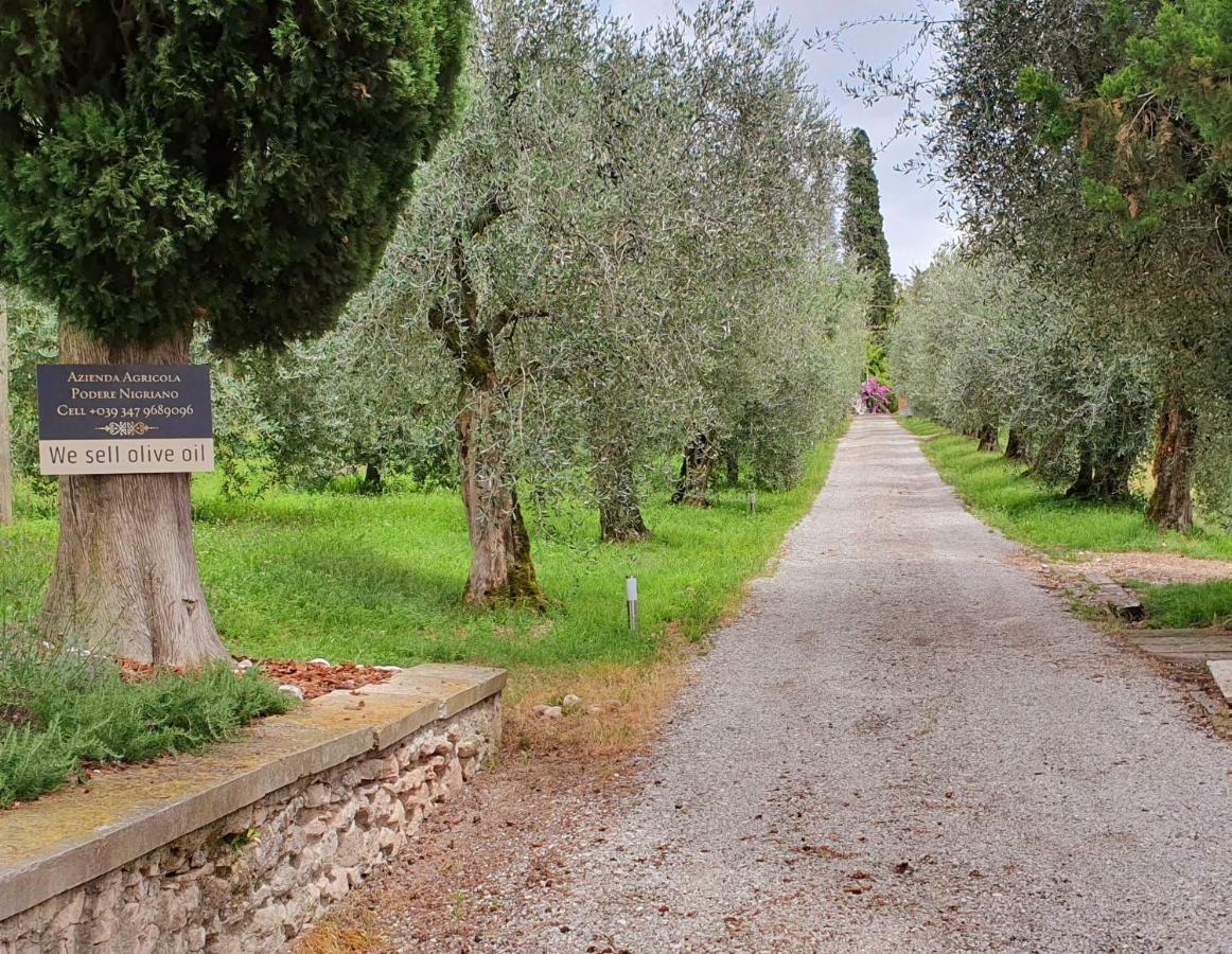 Agriturismo Podere Nigriano Salò Exteriér fotografie